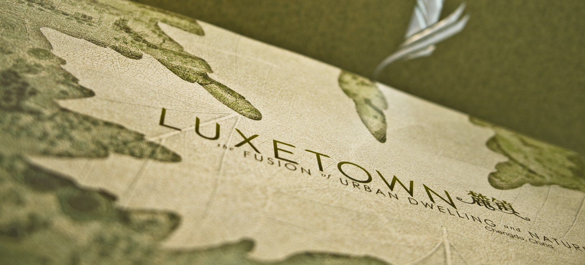 02_graphics_luxetown_large